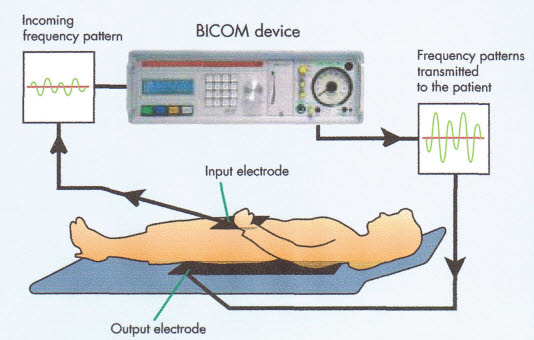 bicomcircuit